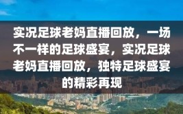 实况足球老妈直播回放，一场不一样的足球盛宴，实况足球老妈直播回放，独特足球盛宴的精彩再现