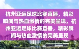 杭州亚运足球比赛直播，精彩瞬间与热血激情的完美呈现，杭州亚运足球比赛直播，精彩瞬间与热血激情的完美呈现