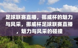 足球联赛直播，挪威杯的魅力与风采，挪威杯足球联赛直播，魅力与风采的碰撞