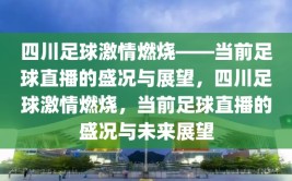 四川足球激情燃烧——当前足球直播的盛况与展望，四川足球激情燃烧，当前足球直播的盛况与未来展望