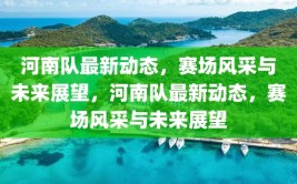 河南队最新动态，赛场风采与未来展望，河南队最新动态，赛场风采与未来展望