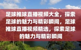 足球推球直播视频大全，探索足球的魅力与精彩瞬间，足球推球直播视频精选，探索足球的魅力与精彩瞬间