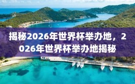 揭秘2026年世界杯举办地，2026年世界杯举办地揭秘