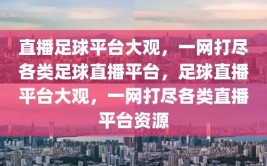 直播足球平台大观，一网打尽各类足球直播平台，足球直播平台大观，一网打尽各类直播平台资源