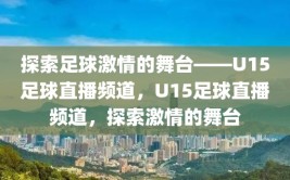 探索足球激情的舞台——U15足球直播频道，U15足球直播频道，探索激情的舞台