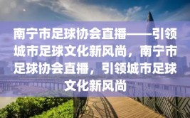 南宁市足球协会直播——引领城市足球文化新风尚，南宁市足球协会直播，引领城市足球文化新风尚