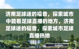 济南足球迷的福音，探索城市中能看足球直播的地方，济南足球迷的福音，探索城市足球直播热地