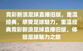 竞彩新浪足球直播旧版，重温经典，感受足球魅力，重温经典竞彩新浪足球直播旧版，体验足球魅力之旅