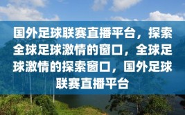 国外足球联赛直播平台，探索全球足球激情的窗口，全球足球激情的探索窗口，国外足球联赛直播平台