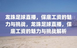 龙珠足球直播，保底工资的魅力与挑战，龙珠足球直播，保底工资的魅力与挑战解析