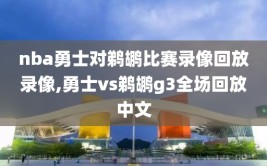 nba勇士对鹈鹕比赛录像回放录像,勇士vs鹈鹕g3全场回放中文