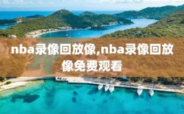 nba录像回放像,nba录像回放像免费观看