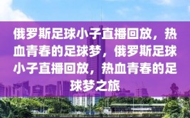 俄罗斯足球小子直播回放，热血青春的足球梦，俄罗斯足球小子直播回放，热血青春的足球梦之旅