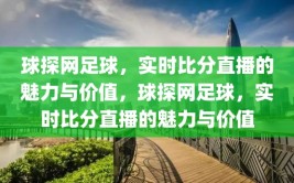 球探网足球，实时比分直播的魅力与价值，球探网足球，实时比分直播的魅力与价值