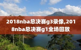 2018nba总决赛g3录像,2018nba总决赛g1全场回放