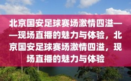 北京国安足球赛场激情四溢——现场直播的魅力与体验，北京国安足球赛场激情四溢，现场直播的魅力与体验