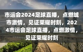 市运会2024足球直播，点燃城市激情，见证荣耀时刻，2024市运会足球直播，点燃激情，见证荣耀时刻