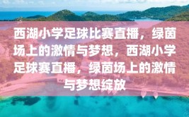 西湖小学足球比赛直播，绿茵场上的激情与梦想，西湖小学足球赛直播，绿茵场上的激情与梦想绽放