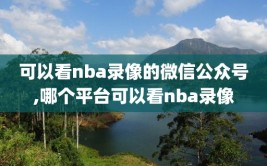 可以看nba录像的微信公众号,哪个平台可以看nba录像