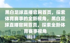 黑白足球直播官网首页，探索体育赛事的全新视角，黑白足球直播官网首页，探索全新体育赛事视角