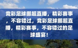 竞彩足球挪超直播，精彩赛事，不容错过，竞彩足球挪超直播，精彩赛事，不容错过的足球盛宴！