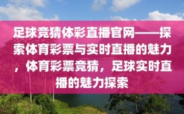 足球竞猜体彩直播官网——探索体育彩票与实时直播的魅力，体育彩票竞猜，足球实时直播的魅力探索