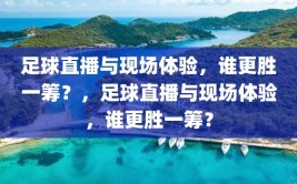 足球直播与现场体验，谁更胜一筹？，足球直播与现场体验，谁更胜一筹？