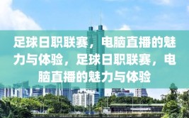 足球日职联赛，电脑直播的魅力与体验，足球日职联赛，电脑直播的魅力与体验