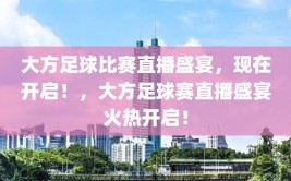 大方足球比赛直播盛宴，现在开启！，大方足球赛直播盛宴火热开启！