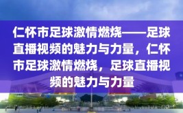 仁怀市足球激情燃烧——足球直播视频的魅力与力量，仁怀市足球激情燃烧，足球直播视频的魅力与力量