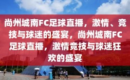 尚州城南FC足球直播，激情、竞技与球迷的盛宴，尚州城南FC足球直播，激情竞技与球迷狂欢的盛宴