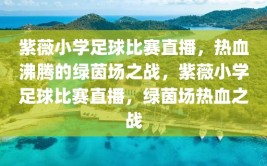 紫薇小学足球比赛直播，热血沸腾的绿茵场之战，紫薇小学足球比赛直播，绿茵场热血之战