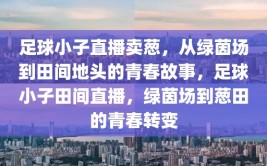 足球小子直播卖葱，从绿茵场到田间地头的青春故事，足球小子田间直播，绿茵场到葱田的青春转变