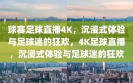 球赛足球直播4K，沉浸式体验与足球迷的狂欢，4K足球直播，沉浸式体验与足球迷的狂欢