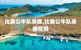 比赛公牛队录像,比赛公牛队录像视频