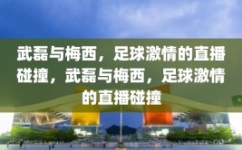 武磊与梅西，足球激情的直播碰撞，武磊与梅西，足球激情的直播碰撞