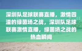 深圳队足球联赛直播，激情四溢的绿茵场之战，深圳队足球联赛激情直播，绿茵场之战的热血瞬间