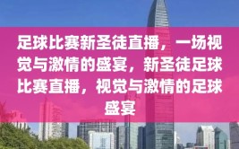 足球比赛新圣徒直播，一场视觉与激情的盛宴，新圣徒足球比赛直播，视觉与激情的足球盛宴