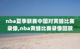 nba夏季联赛中国对黄蜂比赛录像,nba黄蜂比赛录像回放