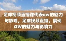 足球视频直播课代表ow的魅力与影响，足球视频直播，展现OW的魅力与影响力