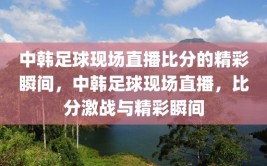 中韩足球现场直播比分的精彩瞬间，中韩足球现场直播，比分激战与精彩瞬间