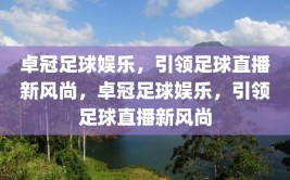 卓冠足球娱乐，引领足球直播新风尚，卓冠足球娱乐，引领足球直播新风尚