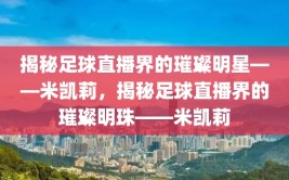 揭秘足球直播界的璀璨明星——米凯莉，揭秘足球直播界的璀璨明珠——米凯莉