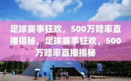 足球赛事狂欢，500万赔率直播揭秘，足球赛事狂欢，500万赔率直播揭秘