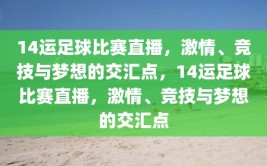 14运足球比赛直播，激情、竞技与梦想的交汇点，14运足球比赛直播，激情、竞技与梦想的交汇点