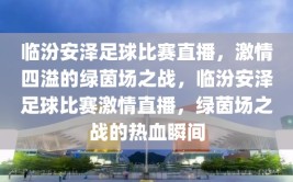 临汾安泽足球比赛直播，激情四溢的绿茵场之战，临汾安泽足球比赛激情直播，绿茵场之战的热血瞬间