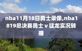 nba11月18日勇士录像,nba1819总决赛勇士ⅴ猛龙实况转播