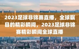 2023足球非锦赛直播，全球瞩目的精彩瞬间，2023足球非锦赛精彩瞬间全球直播