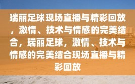 瑞丽足球现场直播与精彩回放，激情、技术与情感的完美结合，瑞丽足球，激情、技术与情感的完美结合现场直播与精彩回放