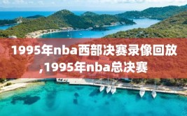 1995年nba西部决赛录像回放,1995年nba总决赛